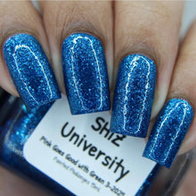 SHIZ University